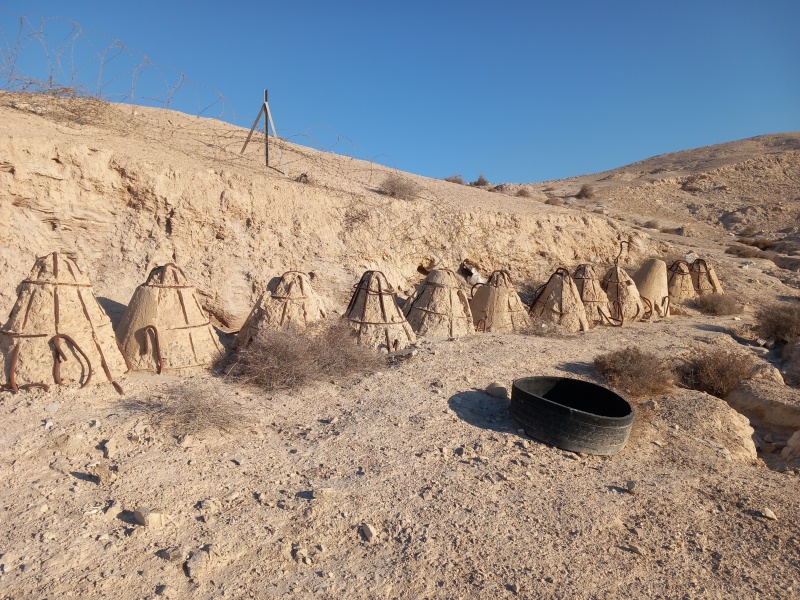 קובץ:2025-07-12T07 16 05.09760498235.jpg