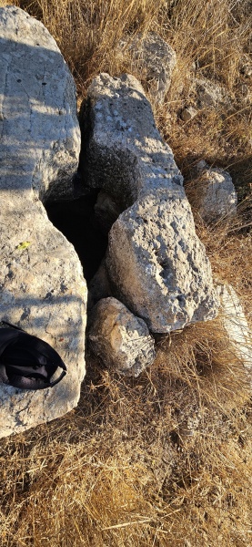 קובץ:2025-07-12T07 58 29.329074265117.jpg