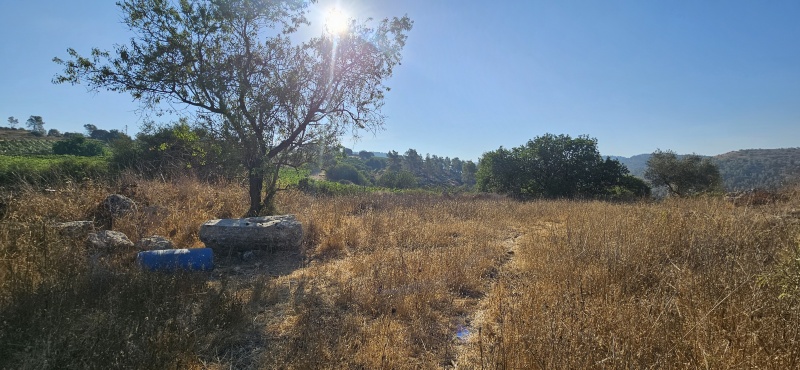 קובץ:2025-07-12T07 58 38.045447332326.jpg