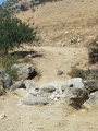 תמונה ממוזערת לגרסה מתאריך 09:17, 12 ביולי 2025