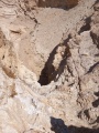 תמונה ממוזערת לגרסה מתאריך 10:40, 12 ביולי 2025