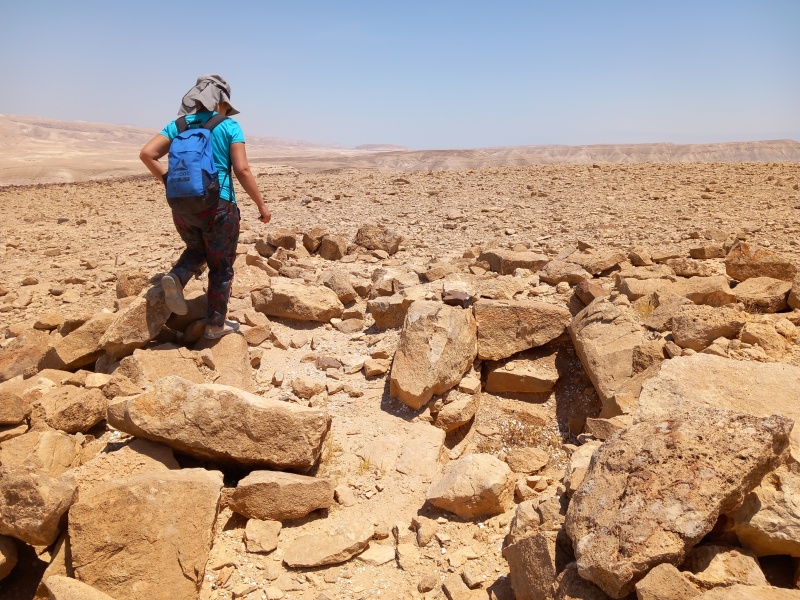 קובץ:2025-07-12T11 48 07.69314985821.jpg