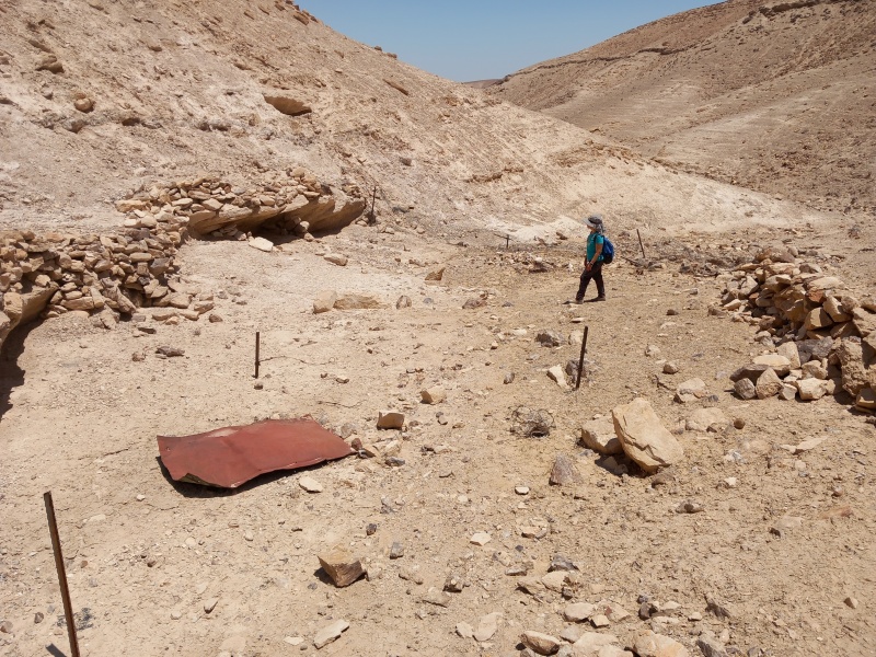 קובץ:2025-07-12T11 59 55.122752669673.jpg