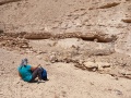 תמונה ממוזערת לגרסה מתאריך 12:05, 12 ביולי 2025