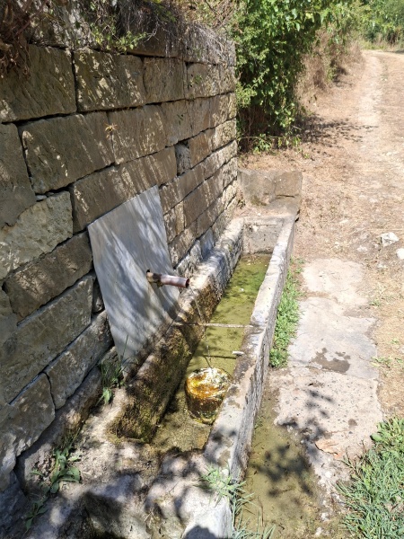קובץ:2025-07-13T15 22 49.261520636649.jpg