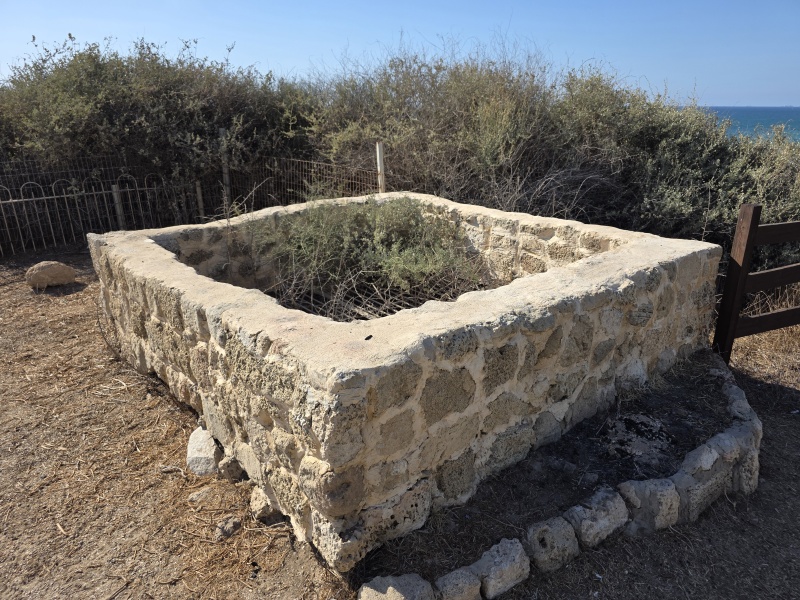 קובץ:2025-07-13T16 52 33.27978173385.jpg
