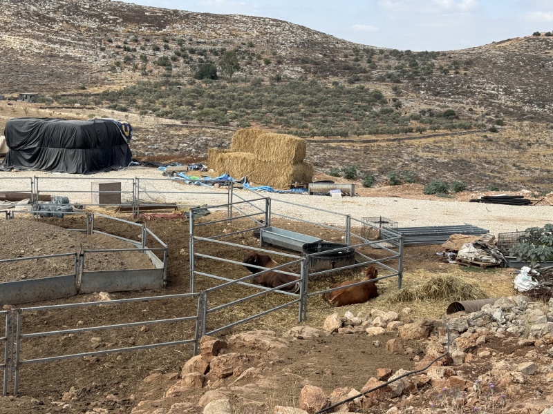 קובץ:2025-07-14T09 25 16.73090291924.jpg