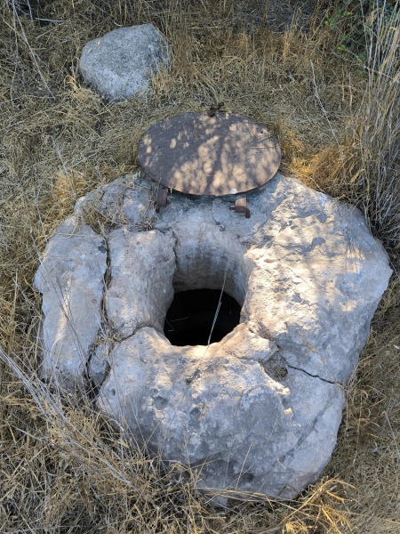 קובץ:2025-07-14T17 54 12.035365269857.jpg