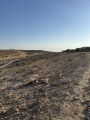 תמונה ממוזערת לגרסה מתאריך 15:08, 14 ביולי 2025