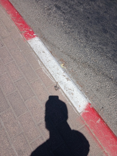 קובץ:2025-07-14T21 18 04.404922538868.jpg