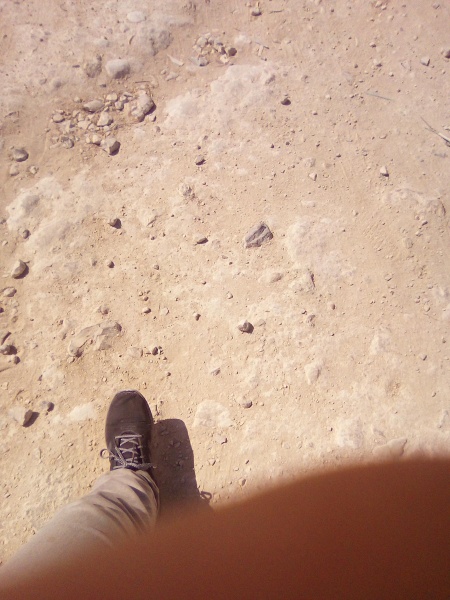 קובץ:2025-07-14T23 59 27.115798195329.jpg