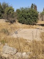 תמונה ממוזערת לגרסה מתאריך 04:28, 15 ביולי 2025
