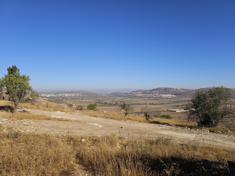 קובץ:2025-07-15T07 53 37.893346513996.jpg