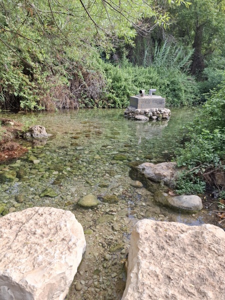 קובץ:2025-07-15T08 02 49.612649965413.jpg