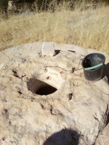 קובץ:2025-07-15T08 33 54.198961553876.jpg