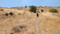 תמונה ממוזערת לגרסה מתאריך 08:49, 15 ביולי 2025