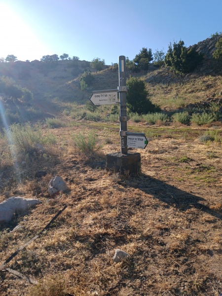 קובץ:2025-07-15T18 18 47.336687817799.jpg