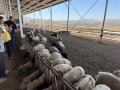 תמונה ממוזערת לגרסה מתאריך 15:42, 15 ביולי 2025