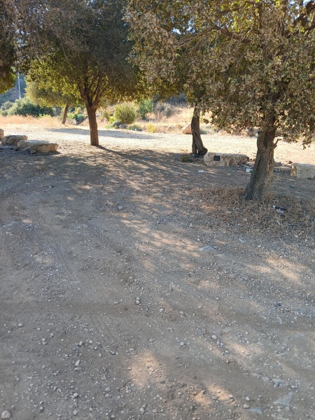 קובץ:2025-07-17T08 14 17.569490634963.jpg