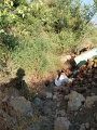 תמונה ממוזערת לגרסה מתאריך 10:11, 20 ביולי 2025