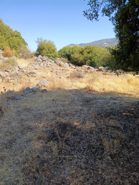 קובץ:2025-07-17T08 43 33.794443136097.jpg