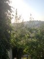 תמונה ממוזערת לגרסה מתאריך 15:08, 17 ביולי 2025
