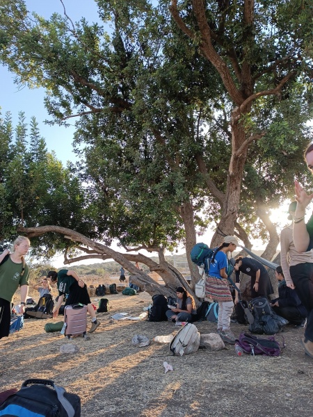 קובץ:2025-07-18T07 04 31.827722623270.jpg