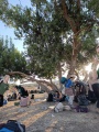 תמונה ממוזערת לגרסה מתאריך 05:31, 18 ביולי 2025