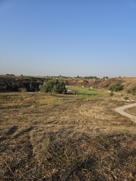 קובץ:2025-07-18T07 06 46.009416554976.jpg