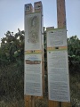 תמונה ממוזערת לגרסה מתאריך 03:45, 18 ביולי 2025