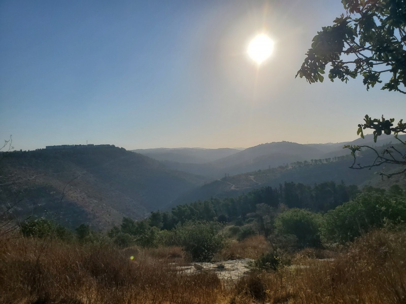 קובץ:2025-07-18T07 22 05.519634419648.jpg