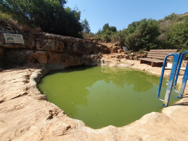 קובץ:2025-07-18T10 14 16.534544659621.jpg