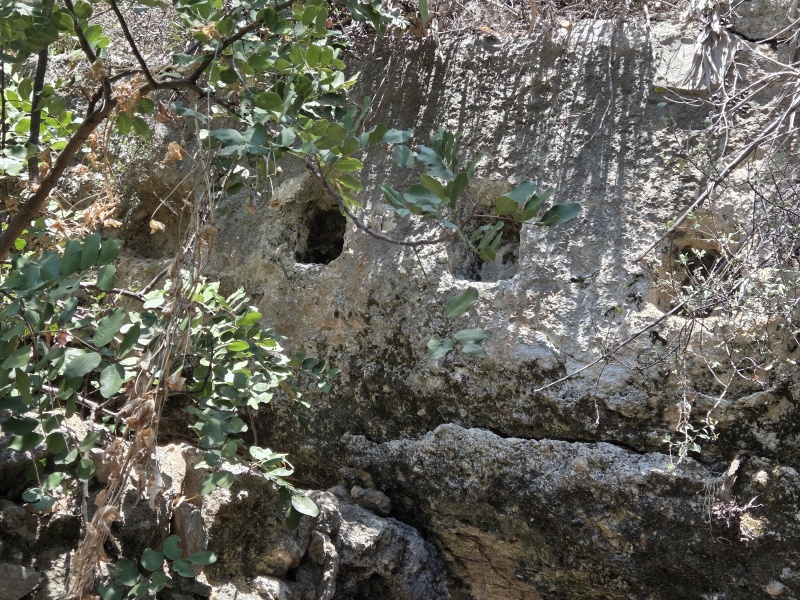 קובץ:2025-07-18T12 43 35.724091927501.jpg