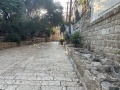 תמונה ממוזערת לגרסה מתאריך 14:54, 18 ביולי 2025