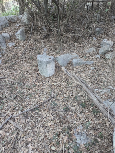 קובץ:2025-07-18T18 50 54.995387234968.jpg
