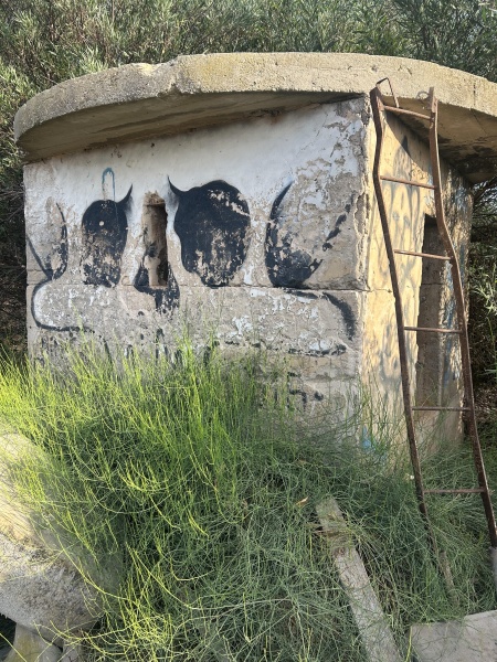 קובץ:2025-07-18T22 40 04.809336213415.jpg