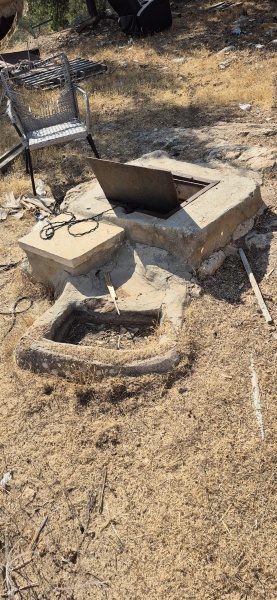 קובץ:2025-07-19T08 58 05.961683378673.jpg