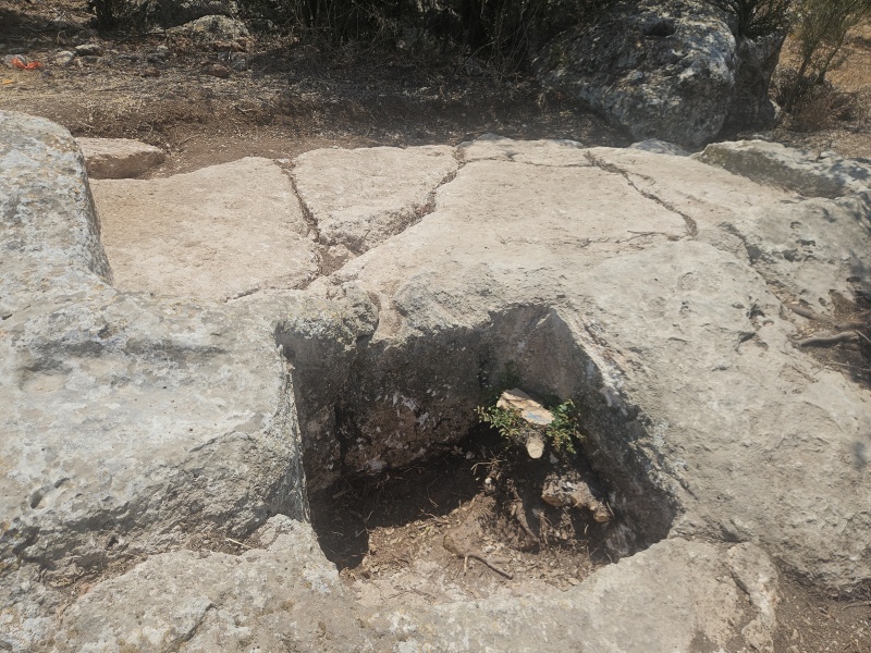 קובץ:2025-07-20T12 15 31.330664738217.jpg