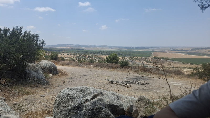 קובץ:2025-07-20T13 15 28.098337382738.jpg
