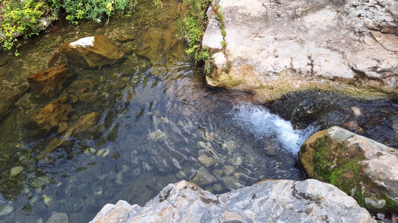 קובץ:2025-07-20T14 58 41.124272936167.jpg