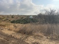 תמונה ממוזערת לגרסה מתאריך 04:27, 21 ביולי 2025