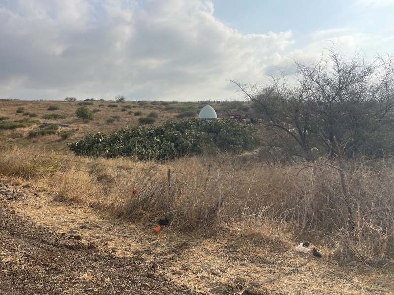 קובץ:2025-07-21T07 52 33.350897439029.jpg