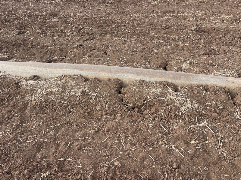 קובץ:2025-07-21T08 02 17.312854728015.jpg