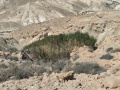 תמונה ממוזערת לגרסה מתאריך 06:50, 21 ביולי 2025