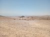 2025-07-21T11 33 31.488595896165.jpg