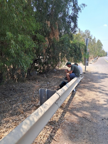 קובץ:2025-07-21T12 18 42.867620391044.jpg