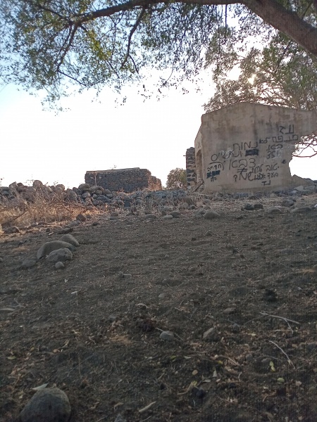 קובץ:2025-07-21T18 16 31.225870978848.jpg
