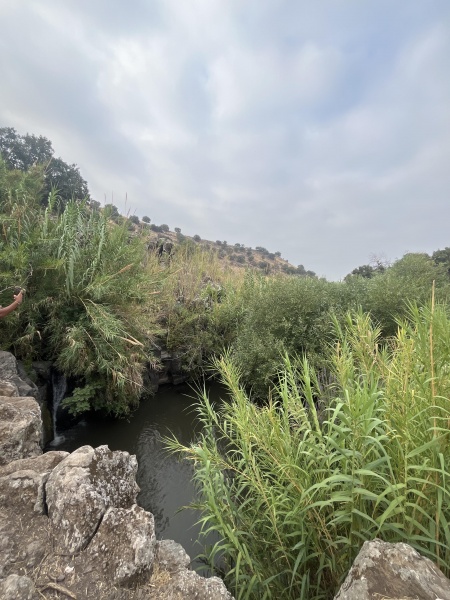 קובץ:2025-07-22T07 23 32.403325729072.jpg