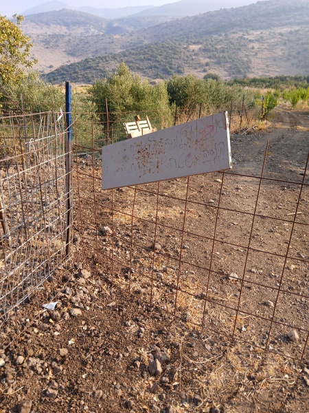 קובץ:2025-07-22T07 43 50.377395776863.jpg