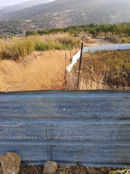 קובץ:2025-07-22T07 48 59.181986108711.jpg
